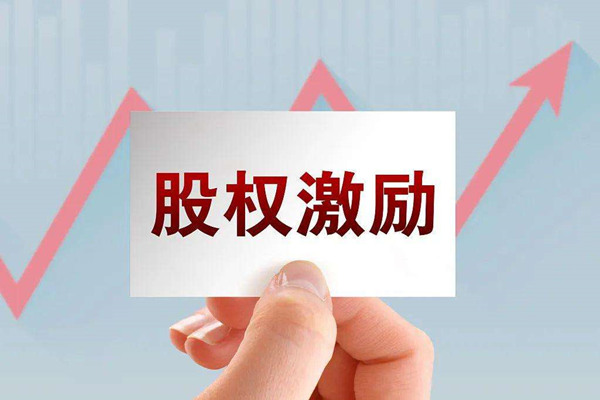 非上市公司為什么要實施股權(quán)激勵？