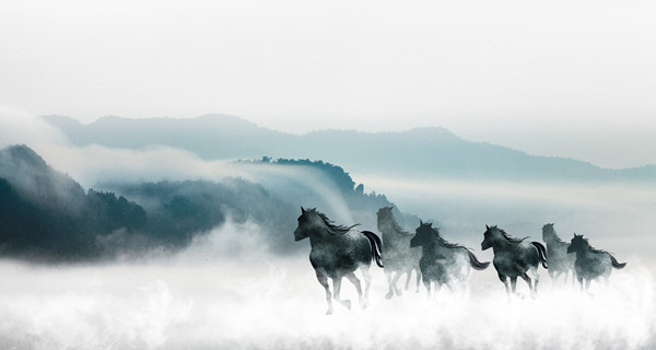 企業(yè)戰(zhàn)略規(guī)劃：為企業(yè)制定全面、長遠(yuǎn)的發(fā)展戰(zhàn)略