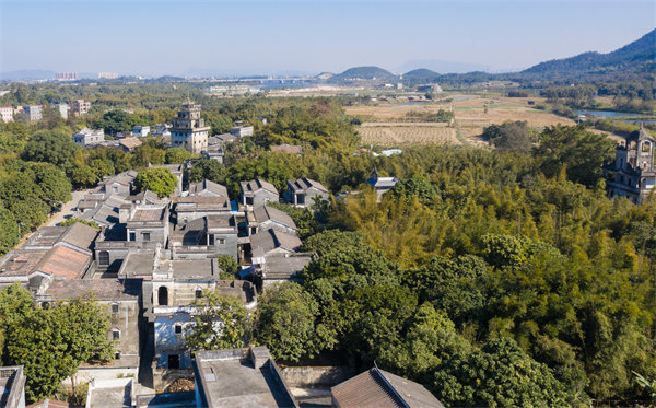江門管理咨詢公司如何定制高效解決方案？