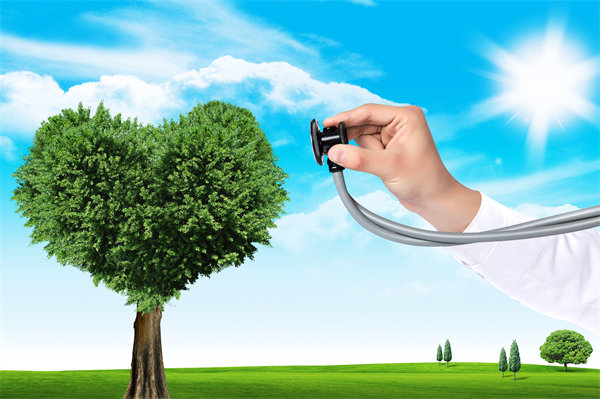 員工福利設(shè)計(jì)新思維：如何平衡成本效益與員工滿意度？