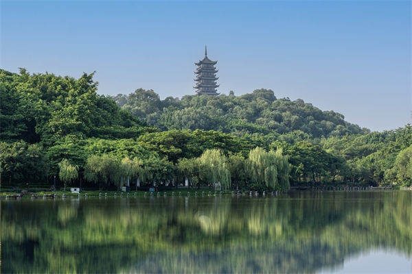 如何評估佛山集團(tuán)管控咨詢公司的服務(wù)質(zhì)量和效果？