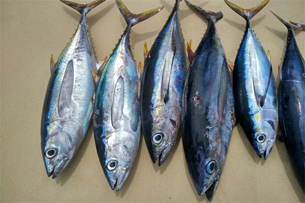 商務(wù)部：將幫助外貿(mào)企業(yè)擴(kuò)寬內(nèi)銷渠道，政策解讀！