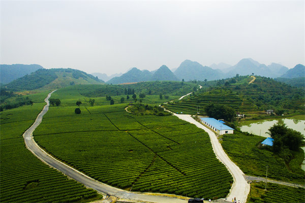 清遠(yuǎn)營(yíng)銷咨詢公司深挖需求，如何為品牌打造直擊消費(fèi)痛點(diǎn)的賣(mài)點(diǎn)？