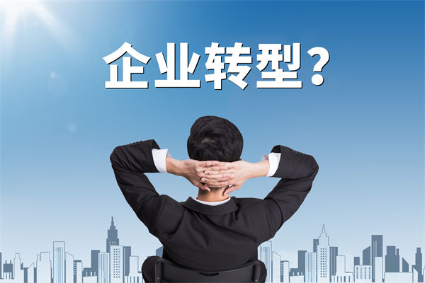 企業(yè)轉(zhuǎn)型無(wú)方向，數(shù)智化咨詢公司能否指引明路？