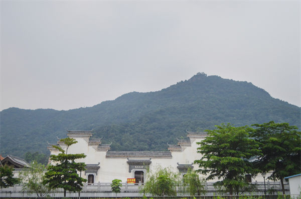 子公司各自為戰(zhàn)內(nèi)耗大，佛山集團(tuán)管控咨詢公司有何整合之道？