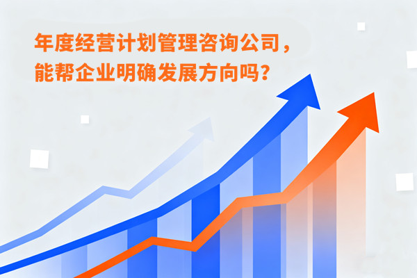 年度經(jīng)營(yíng)計(jì)劃管理咨詢公司，能幫企業(yè)明確發(fā)展方向嗎？